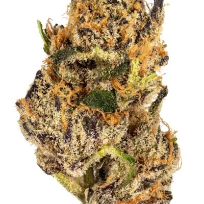 London Pound Cake Strain