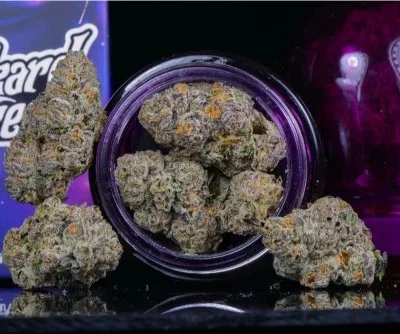 Wizard Trees: Black Magic