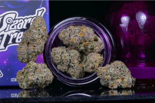 Wizard Trees: Black Magic